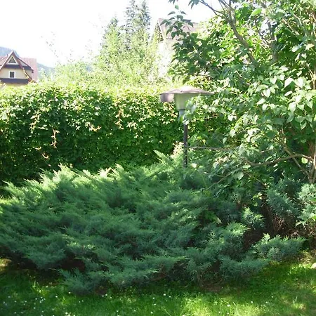 Pansiyon Goscinne Az Somatic *