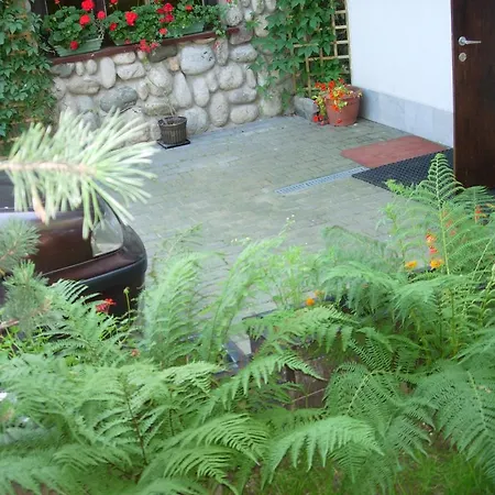 Pokoje Goscinne Koscielisko Az Somatic Homestay