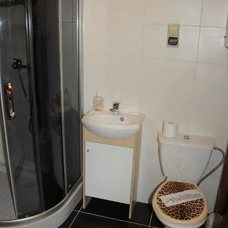 Pokoje Goscinne Koscielisko Az Somatic Homestay *