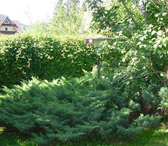 Accommodatie bij particulieren Goscinne Az Somatic *