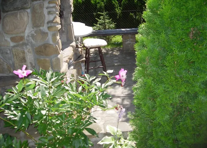 Goscinne Az Somatic *