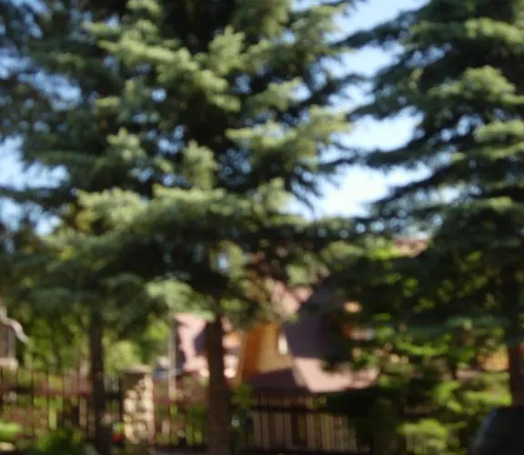 Goscinne Az Somatic Accommodatie bij particulieren Kościelisko