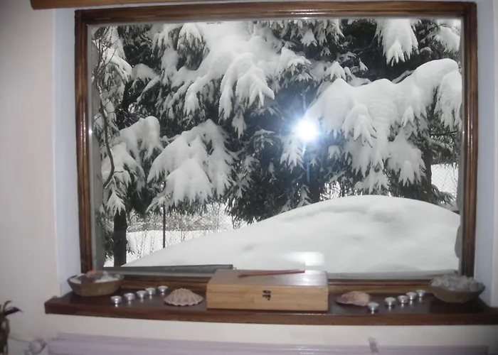 Goscinne Az Somatic *